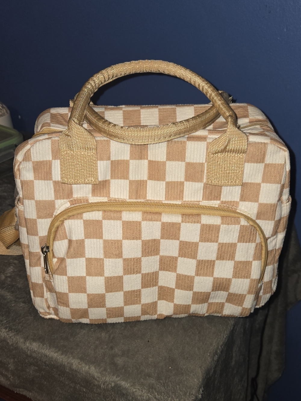 Checked Canvas Lunch  Bag in Beige
